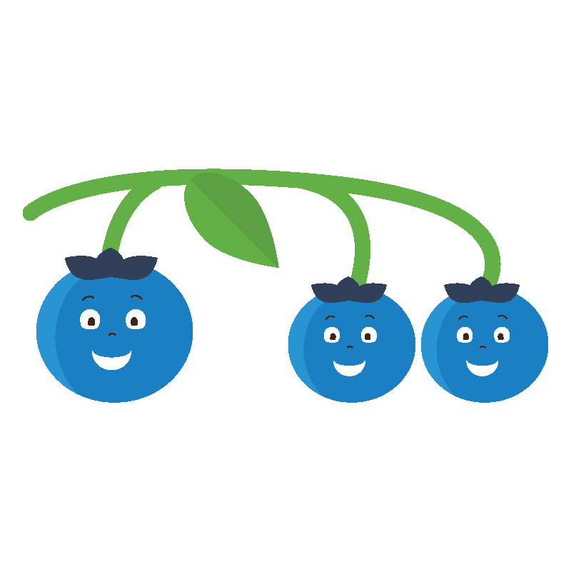 Blueberry